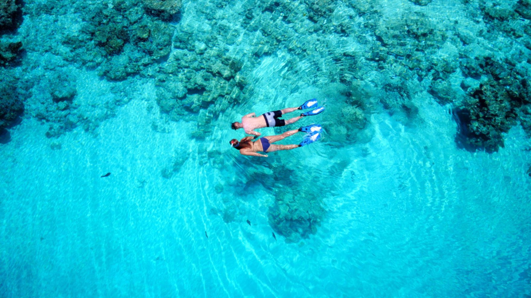 Norman Island British Virgin Islands Snorkel Tour